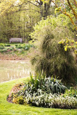Bahçenin dekoratif kısmı, göletin yanında bir çiçek yatağı, ilginç bir kozalaklı ağaç ve çeşitli çiçekler.