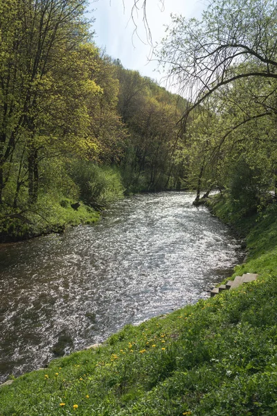 stock image Scenic view of the river between the trees in the forest, the rushing waters of spring.