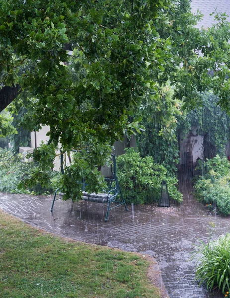 stock image The yard in the rain. It is raining heavily, an oak branch with leaves in the foreground, a blurred view of the pavement and the path to the house in the background.