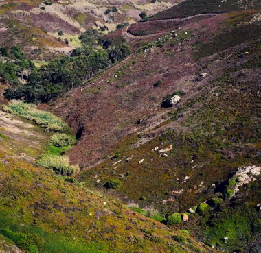 Portekiz dağlarında bir vadi, otlar, bitkiler ve ağaçlarla kaplı. Yeşil ve kahverengi tonlar.