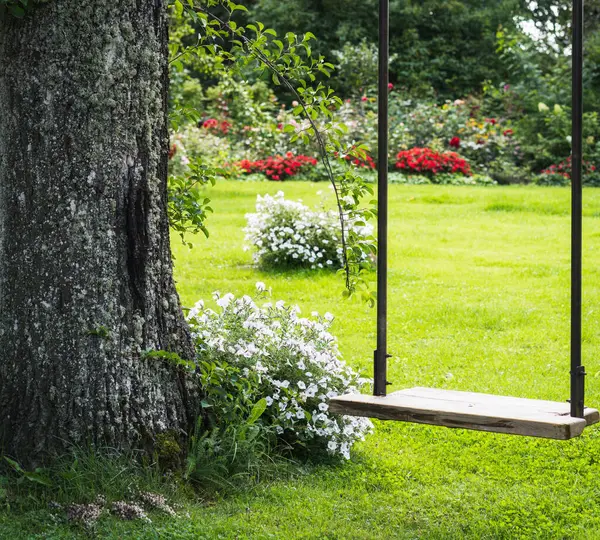 There is a swing in the garden under a large oak tree in the countryside, the background is blurred, selected focus