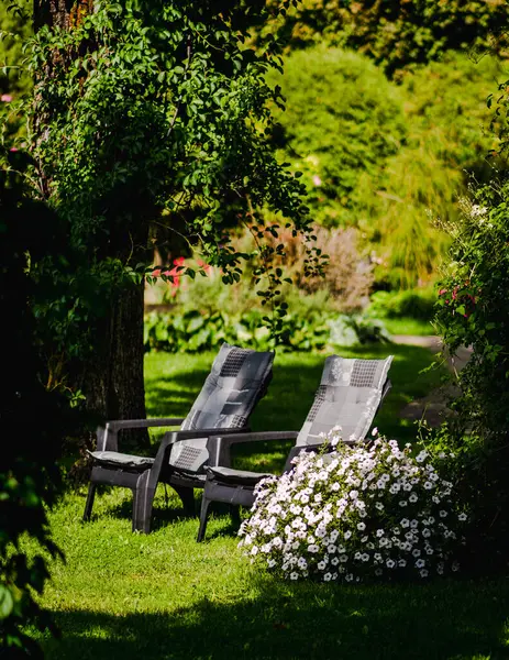 Two summer lounge chairs in the garden in the sun next to an oak tree and a flowerpot of white flowers, the background is blurred.