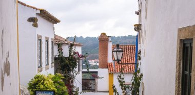 İkinci katın penceresinin altından sokak manzarası ve her iki tarafında saksılar var..