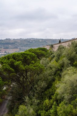 Antik bir kalenin duvarlarının manzarası ve çeşitli çalıların ve ağaçların önü..
