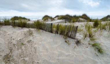 Atlantik kıyısındaki kum tepelerini korumak için tahta çitler ve arka planda okyanus suları..