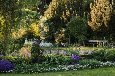 Bahçenin arka bahçesinin ön planda bir çiçek yatağı, arka planda ise dağ çamlarının altında ahşap bir bank var..
