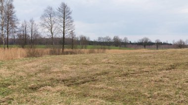 Baharda kırsal alan, ön planda boş çayır, arkasında her iki tarafında ağaçlar, arka planda yeşil alanlar ve ormanlar olan bir sazlık var..