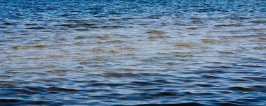 Küçük deniz suyu dalgalarıyla arka plan, en hafif kısma odaklan, sığlık; bulanık ön plan ve arkaplan.