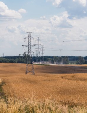 Geniş ölçekli elektrik hatları bir ekin tarlasından görülebilir; arka planda bir orman görülebilir; elektrik hattı;.