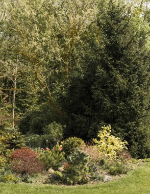 Dekoratif arka bahçede bir bahar günü; birçok bitki ve çiçeğin olduğu bir park; güneşli bir mayıs gününde bahçedeki çeşitli bitki ve renkler.