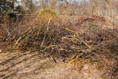 Bahar bahçesi en kalın olanları odun haline getirerek, çalıları ve ağaç dallarını incelterek ve budayarak çalışır..