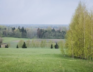 Bahar manzarası yemyeşildir, açık yeşil renkler çeşitli ağaçların ve çalıların yapraklarına hakimdir, ama aynı zamanda lacivert aksanlar da vardır..