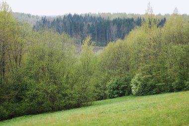 Bahar manzarası yemyeşildir, açık yeşil renkler çeşitli ağaçların ve çalıların yapraklarına hakimdir, ama aynı zamanda lacivert aksanlar da vardır..