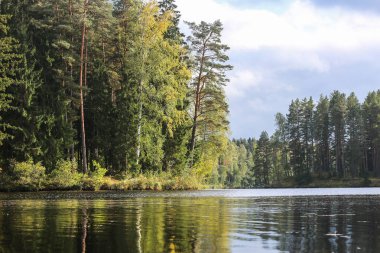 Nehrin her iki kıyısında büyük ağaçları olan ormanlar; geniş bir nehirde bir viraj; gökyüzü bulutlu.