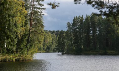 Nehrin her iki kıyısında büyük ağaçları olan ormanlar; geniş bir nehirde bir viraj; gökyüzü bulutlu.
