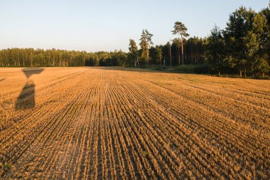 Gün batımında biçilmiş bir tahıl tarlasının kirli sakalı, sıcak hava balonundan yüksek görüş açısı, orman kenarı..