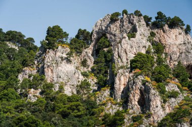 Capri, İtalya - 04.29.2025: Bahar renklerinde kısmi ağaç örtüsüyle denizden Capri adasının kayalıklarına bakın. Güzel manzara.