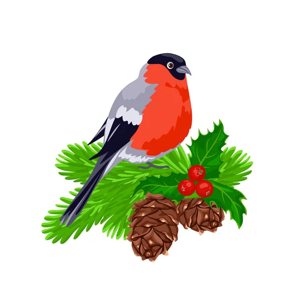 Bullfinch Bird Spruce Branch Cones Holly Berries Christmas Card Vector — Stock Vector