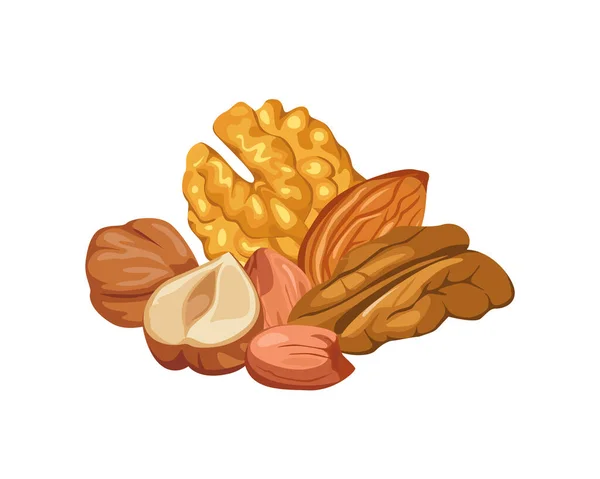 白い背景に隔離されたナッツのヒープ くるみ ピーマン アーモンド ピーナッツの皮をむいた 健康食品のベクトル漫画イラスト — ストックベクタ
