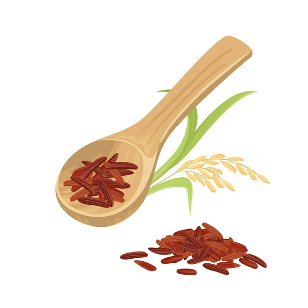 Red Rice Wooden Spoon Ear Isolated White Background Vector Cartoon — Stock Vector