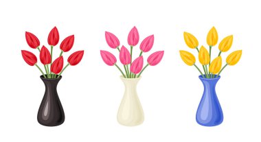 Bouquets of tulips set. Red tulip, yellow and pink flowers in vases isolated on white background. Vector illustration in cartoon flat style.