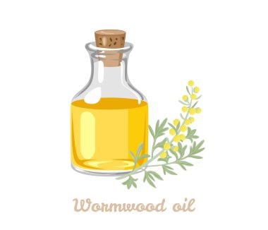 Wormwood essential oil in glass bottle and plant isolated on white background. Vector cartoon flat illustration. clipart
