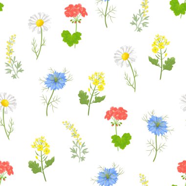 Botanical background. Seamless pattern with wild herbs and flowers. Vector cartoon illustration of medicinal plants.