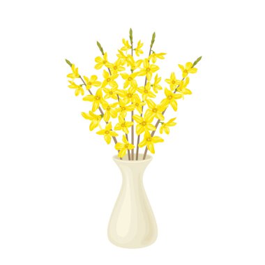 Blooming golden bells. Forsythia  yellow flowers in white ceramic vase. Vector cartoon illustration of spring bouquet.