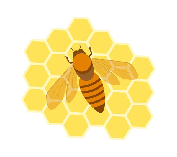 Miodowa Pszczoła Plastrze Miodu Ilustracja Wektora Ikona — Wektor stockowy