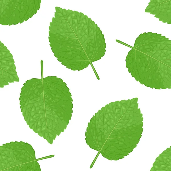 Nahtloses Grünes Melissenblatt Muster Botanischer Hintergrund Vektor Cartoon Illustration Von — Stockvektor