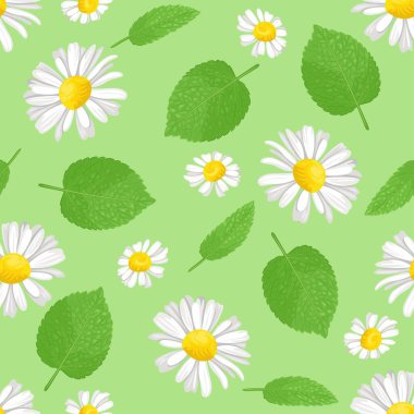 Naneli ve papatyasız desen. Papatya çiçekleri ve yeşil yapraklı botanik arka planı.