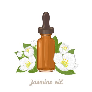 Yasemin yağı. Kehribar cam damlası şişesi, yeşil yapraklar ve taze beyaz çiçekler izole edilmiş. Vektör çizgi film illüstrasyonu.