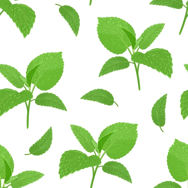 Melisse Oder Mint Nahtloses Muster Botanischer Hintergrund Mit Grünen Blättern — Stockvektor