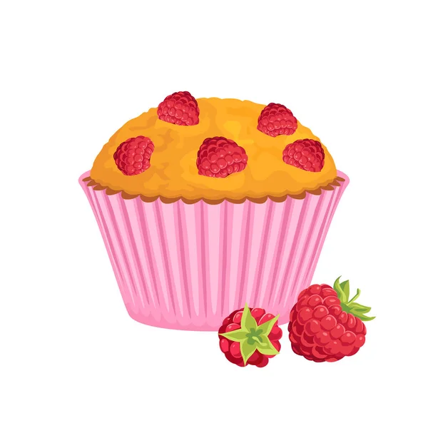 粉红色纸上的覆盆子松饼和白色上的一堆浆果 新鲜纸杯蛋糕的矢量卡通画 — 图库矢量图片
