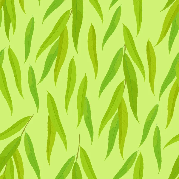 Yeşil Söğüt Yaprakları Dikişsiz Desen Vektör Botanik Geçmişi Yeşillik Çizgi — Stok Vektör