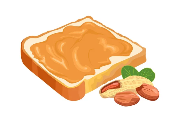 Pindakaas Toast Brood Noten Geïsoleerd Wit Vector Illustratie Van Sandwich — Stockvector