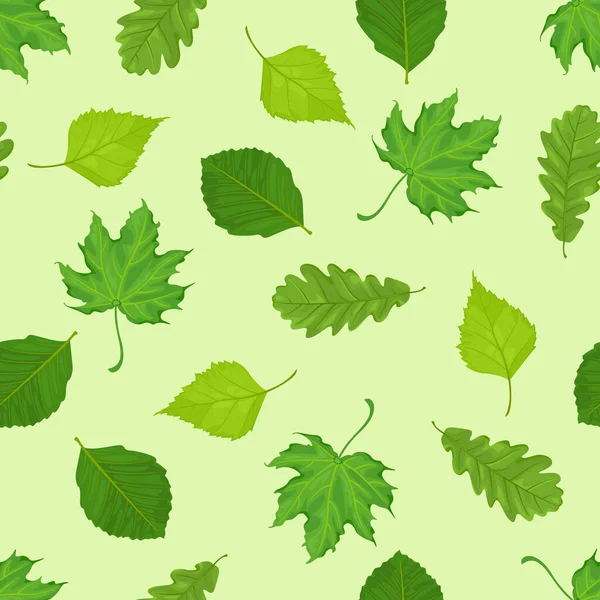 Feuilles Vertes Différents Arbres Motif Sans Couture Avec Érable Chêne — Image vectorielle
