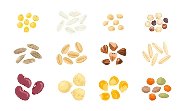 Set Different Cereal Grains Seeds Legumes Vector Cartoon Illustration Millet — Stock Vector