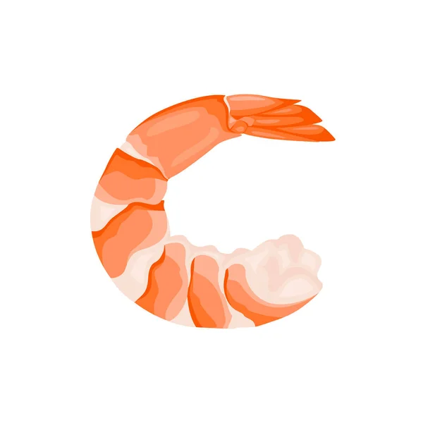 Shrimp Isoliert Auf Weißem Hintergrund Vektor Cartoon Illustration Gekochter Geschälter — Stockvektor