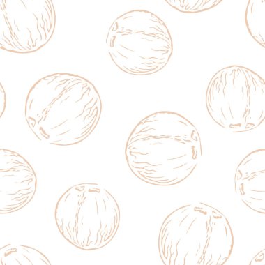 Hindistancevizleri pürüzsüz desen. Çizgi sanat vektör illüstrasyonu. Sağlıklı gıda geçmişi.