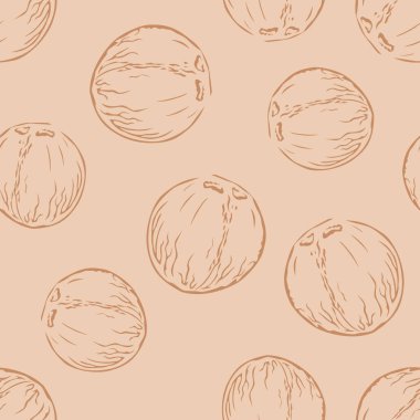 Kahverengi arka planda hindistan cevizleri. Çizgi sanat vektör illüstrasyonu. Hindistan cevizleri pürüzsüz desen. 