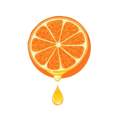 Portakal suyu ve bir damla taze meyve suyu. Turunçgillerin vektör çizimi.