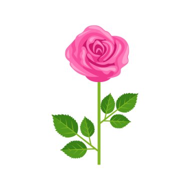 Saplı ve yapraklı pembe gül çiçeği. Basit düz simge.