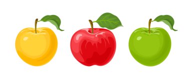 Elmalar hazır. Sarı, kırmızı ve yeşil elma ve beyaz arka planda yaprak izole. Taze meyvenin vektör çizimi.