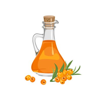 Cam şişedeki deniz dikenli karabatak yağı beyaza izole edilmiş. Vektör çizgi film yemek çizimi. 