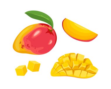 Mango takımı. Tam tropikal meyve, dilimle, soy ve kes. Vektör çizgi film illüstrasyonu.