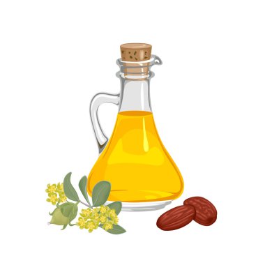 Cam şişedeki Jojoba yağı, beyaz arka planda izole edilmiş tohumlar ve bitkiler. Kozmetik yağın vektör çizimi.