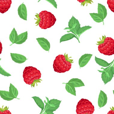 Ahududu ve nane aromalı. Vektör karikatür çizimi. Kırmızı böğürtlen ve yeşil nane yapraklı arka plan.