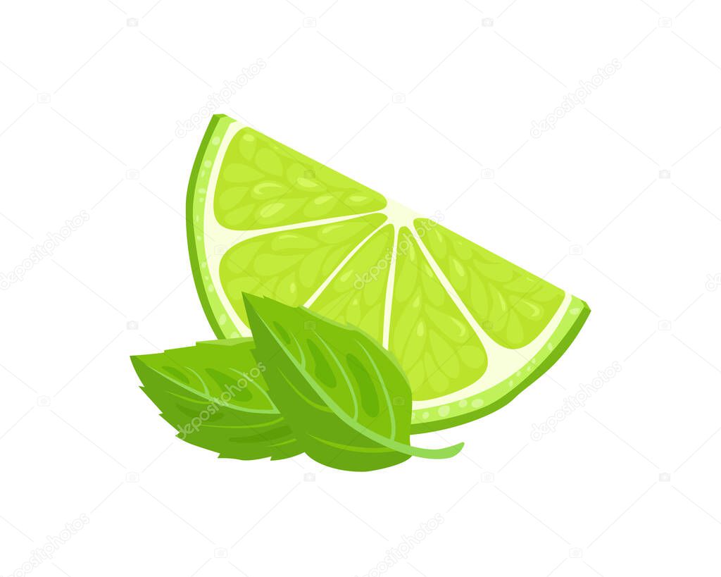 Lime slice and mint leaves. Vector cartoon illustration of fresh green citrus. Food icon.