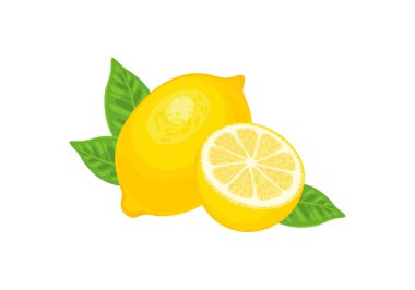 Yeşil yapraklı limon. Taze narenciye meyvesinin vektör çizimi.